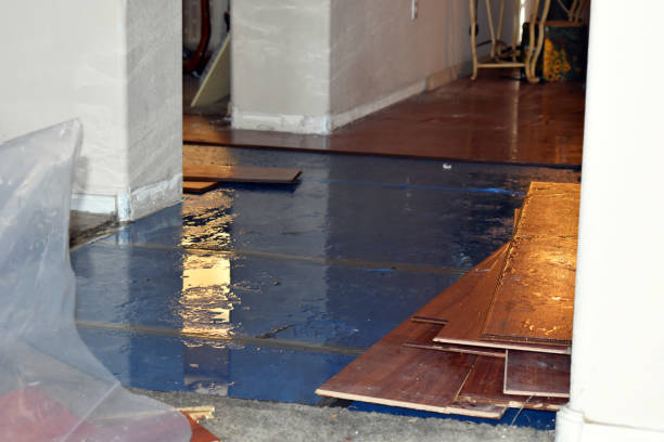 Professional Basement Flood Cleanup technician working in Casco, WI